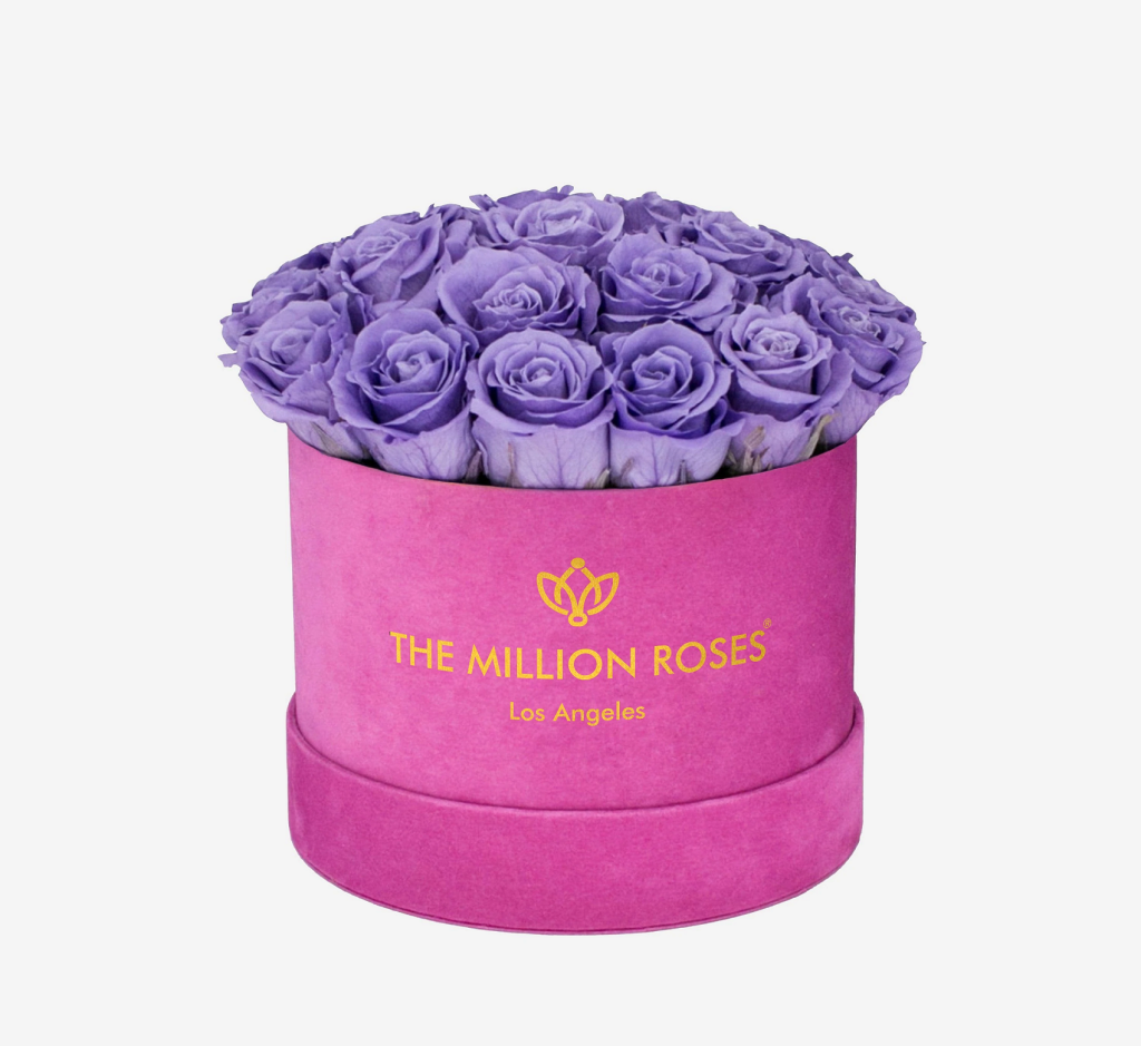 Violet Roses