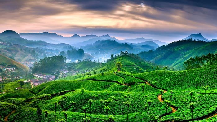 Best Time To Visit Munnar