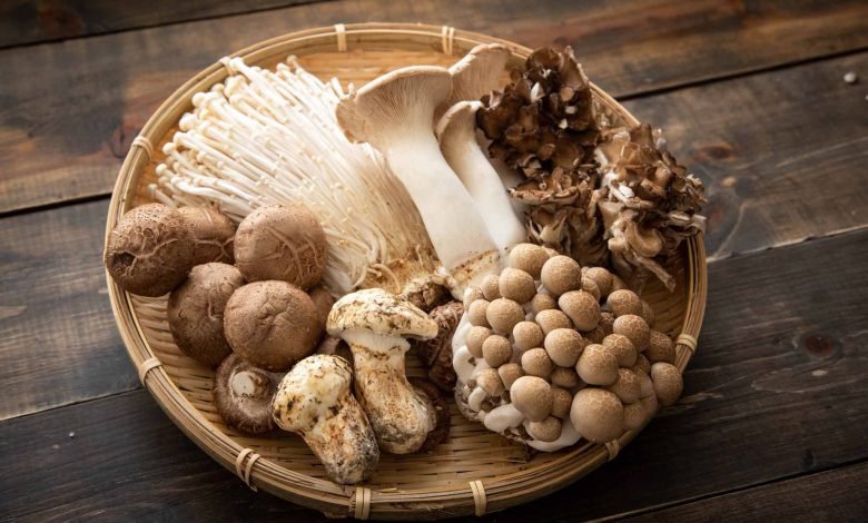 5 Medicinal Mushrooms for Physical and Mental Health