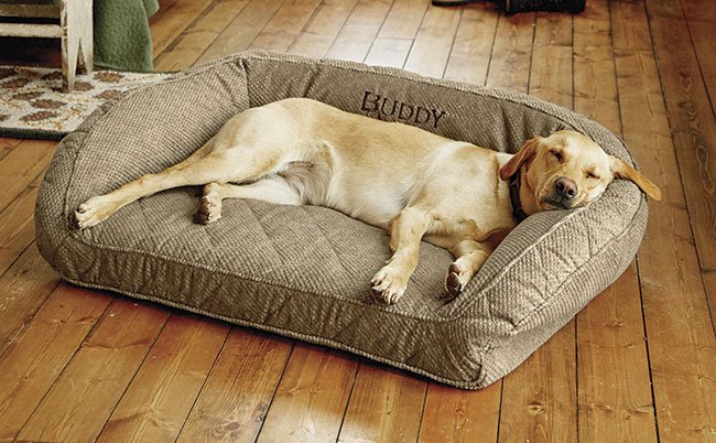 Dog beds