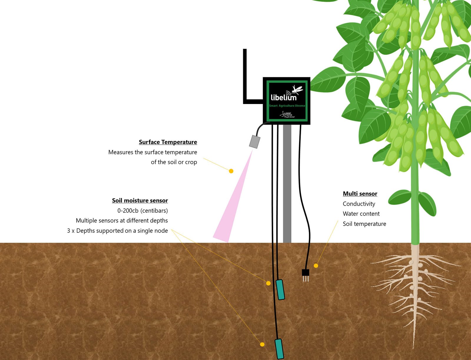 Various applications of moisture sensors - Article Sall