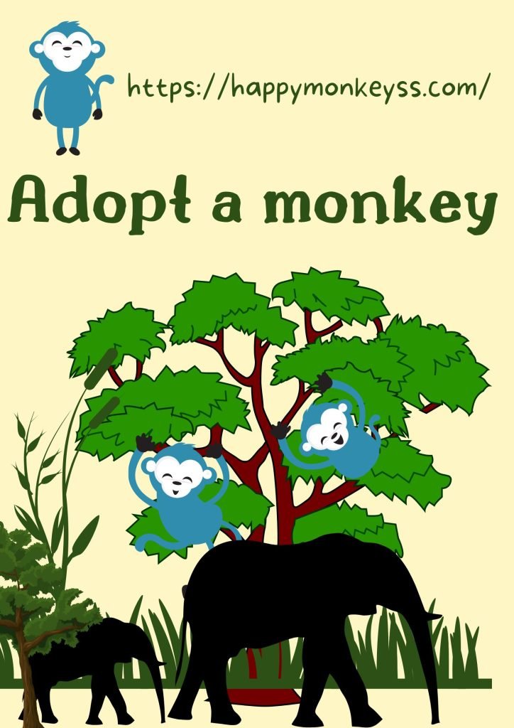 Adopt a monkey