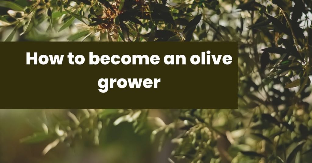 olive grower