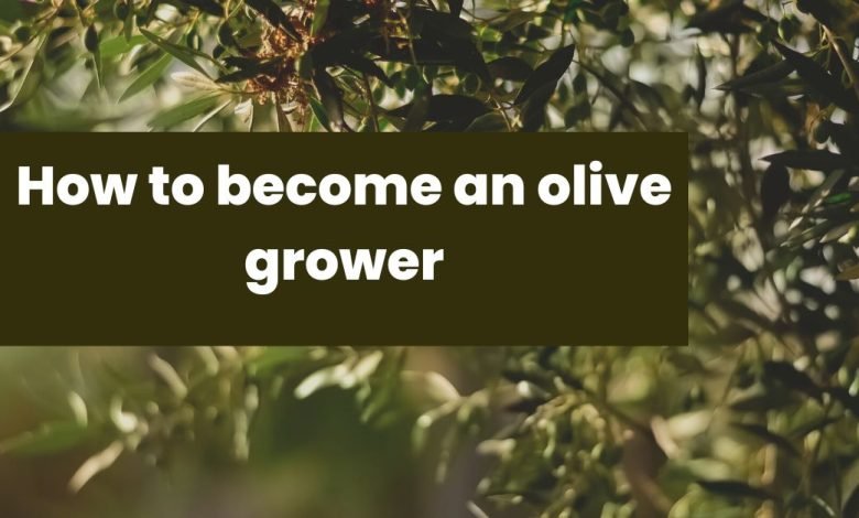 olive grower