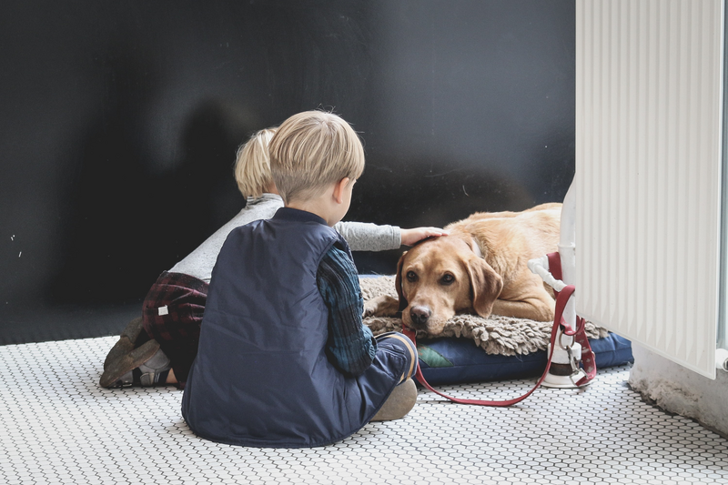 Dog and kids