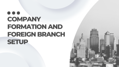 Company Formation and Foreign Branch Setup